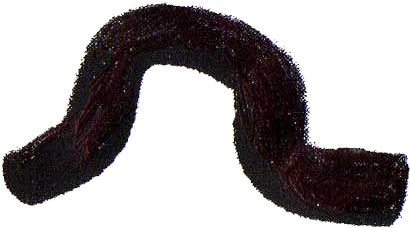 MANGUERA RADIADOR INF/DER INTERNATIONAL NAVISTAR 2005 M4200 VT 365 6 CIL