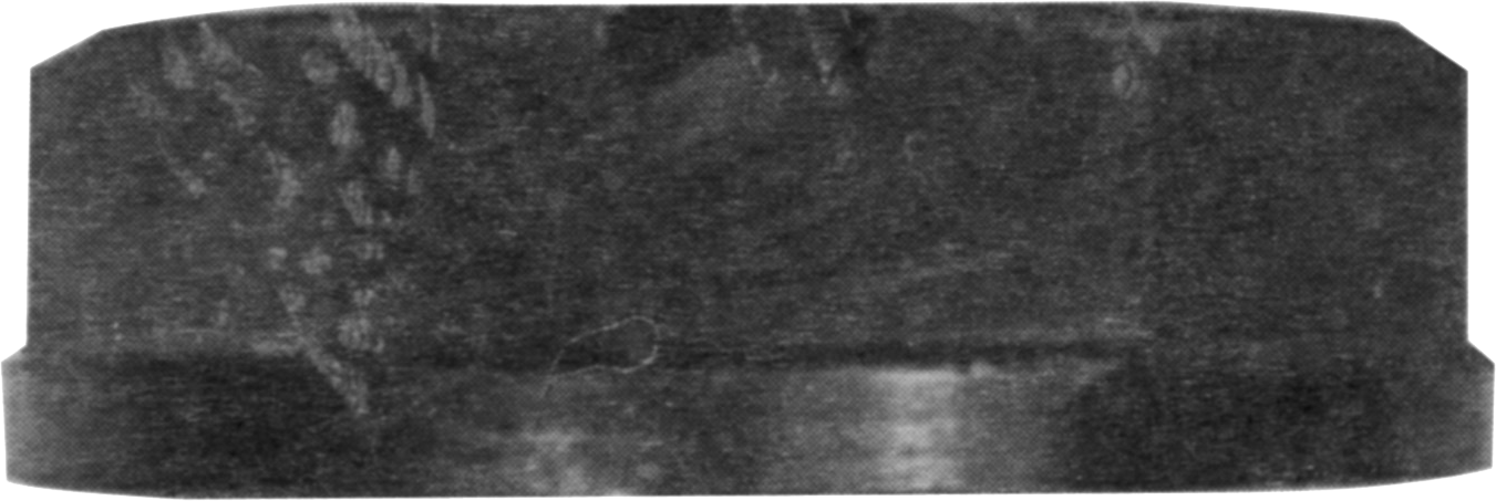 TUERCA CAMPANA 1 1/2" FINA