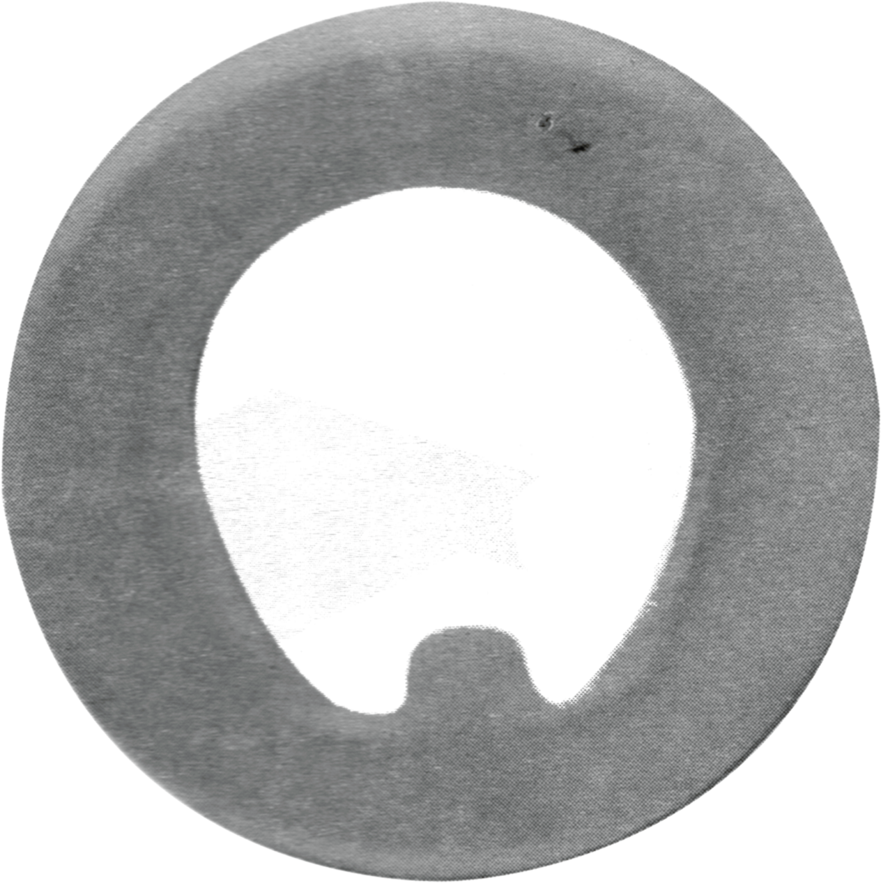 SEGURO NARIZ PERKINS 532