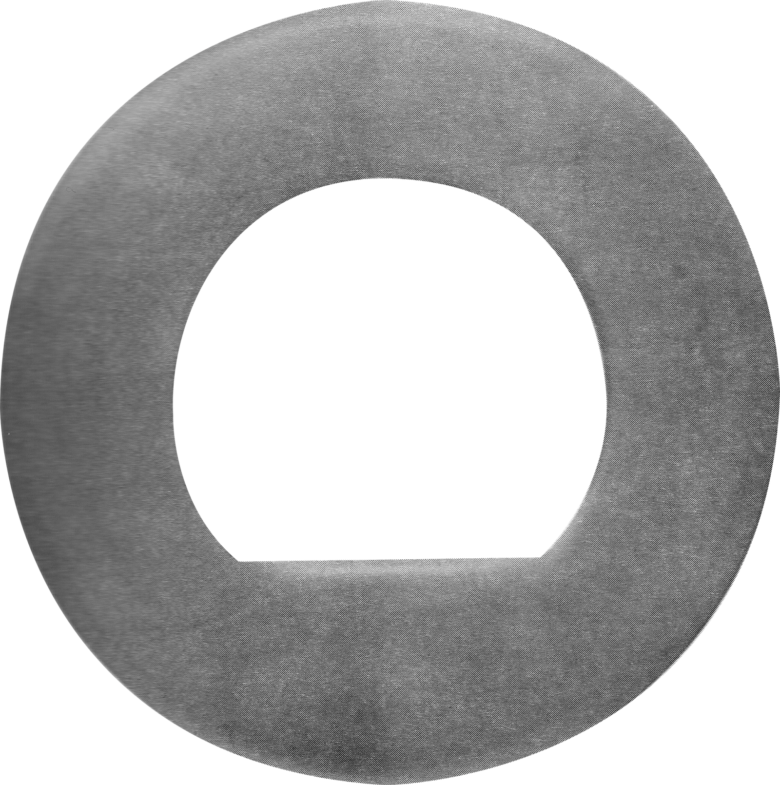 ROLDANA SIN NARIZ PARA INTERNATIONAL