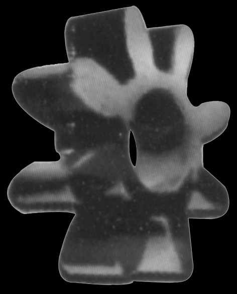 ESTRELLA COMPENSADA INT. 1 5/16 PARA COPLE DE COMPRESOR RODAN F II